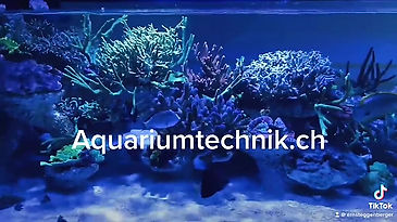 Kunden Aquarium